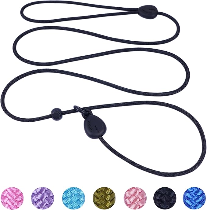 6FT Heavy Duty Slip Lead - No Pull Dog Training Leash, Comfortable & Lightweight, Suitable for Small to Medium Dogs (Black)