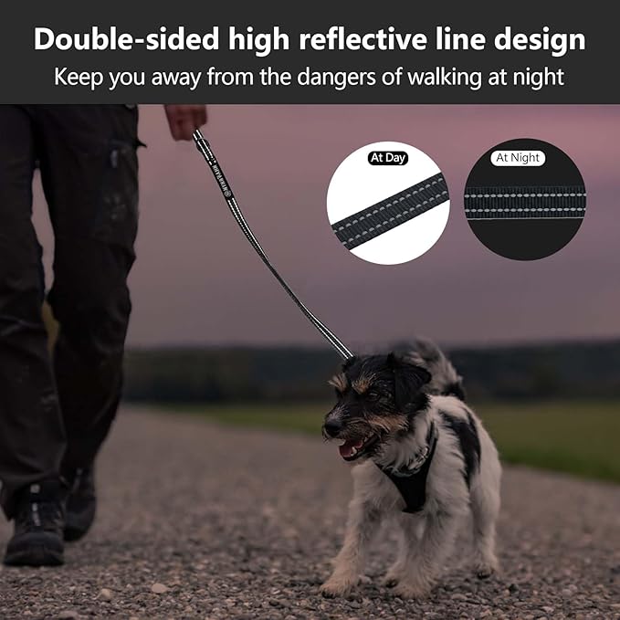 Reflective 6 FT Dog Leash, Premium Traditional Style Puppy Leash with Easy to Use Collar Hook for Small, Medium, and Large Breed Puppies (Black, 3/4 in x 6 ft)