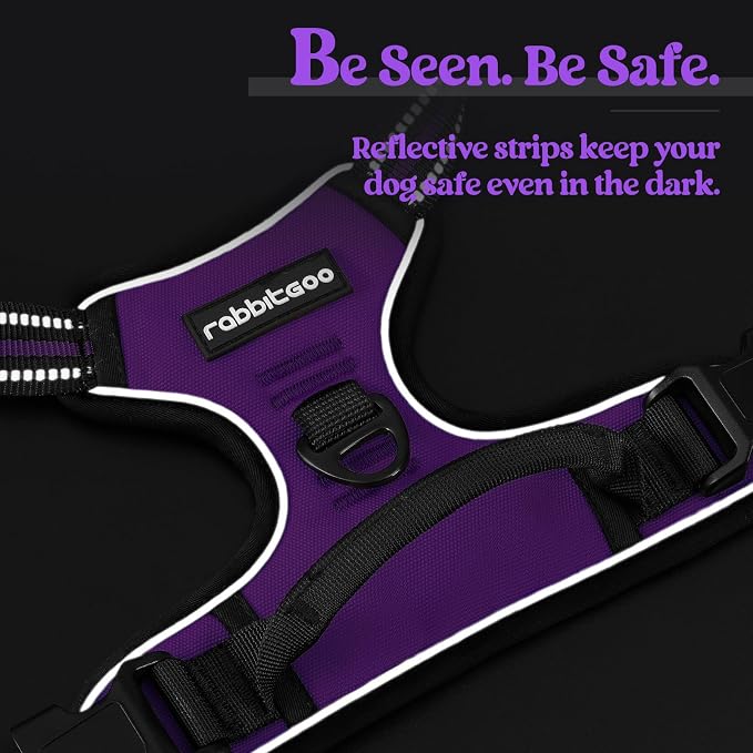 rabbitgoo Dog Harness No Pull with 2 Leash Clips, Adjustable Soft Padded, Reflective Oxford No Choke Pet Vest with Easy Control Handle for Medium Sized Dogs, Purple, M