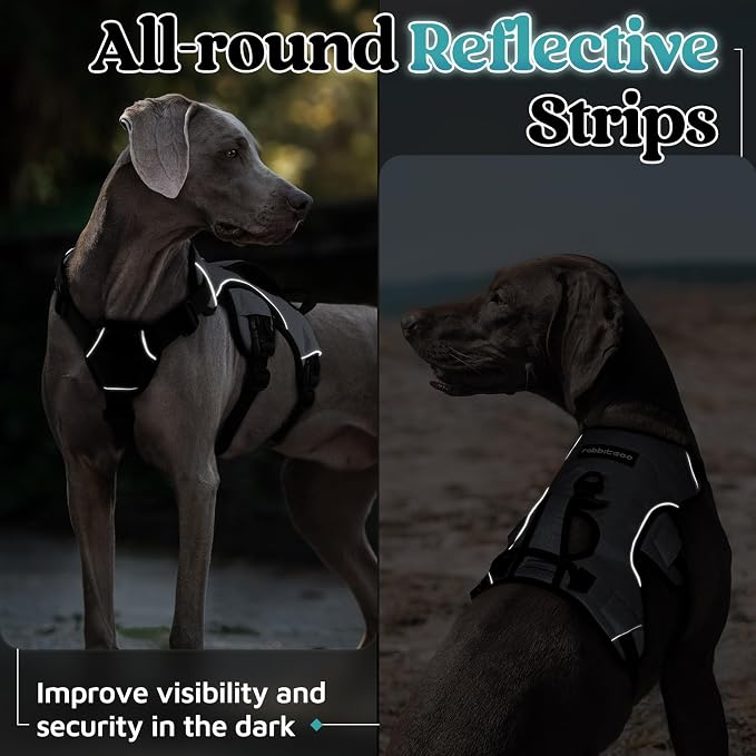 rabbitgoo Escape Proof Dog Harness, Soft Padded Full Body Pet Harness, Reflective Adjustable No Pull Vest with Lift Handle and Leash Clip for Large Dogs Walking Hiking Training, L, Grey