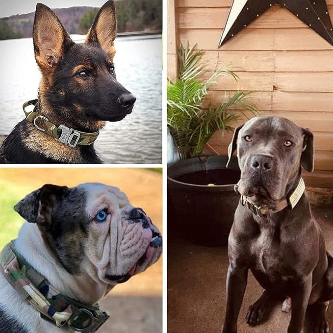 Tactical Dog Collar Adjustable Military Nylon Dog Collar with Control Handle and Heavy Duty Metal Buckle for Medium and Large Dogs (Camo,XL)