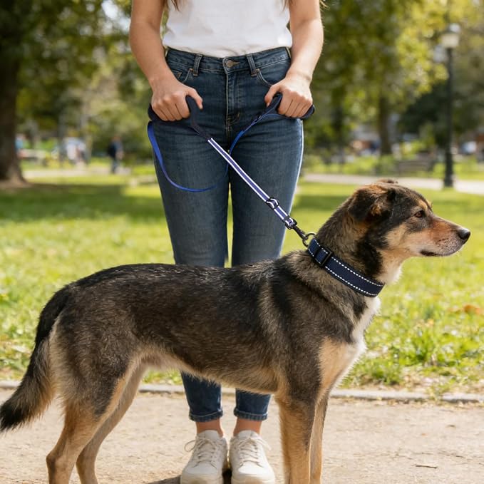 Reflective Double Handle Dog Leash for Large Dogs, Heavy Duty Adjustable Leash with Soft Padded Handles, Traffic Control Training Lead for Walking, Running (Royal Blue, 6ft)