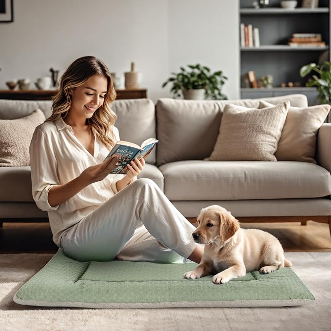 Dog Bed Mat, Crate Pad Reversible,Soft Kennel Washable Crate Mat (Cool and Warm),Pet Sleeping Mattress for Small Medium Dogs XB009 (30''x20'',Sage Green)