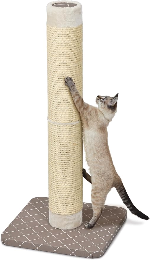Midwest Homes for Pets, Forte Cat Scratching Post 41 inches Tall, Mushroom Diamond Model 135F-MRD