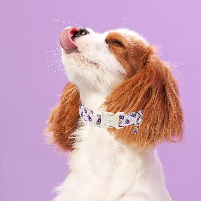 Summer Dog Collar Cute Grape Dog Collars for Small Dogs - Lightweight Adjustable Boy Girl Dogs Everyday Collar with Quick Release Buckle S