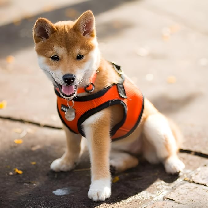 PUPPIA International Harness Soft B Vest, Large, Orange