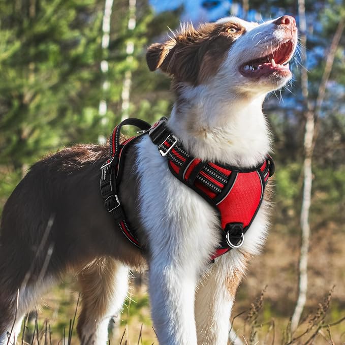 rabbitgoo Dog Harness Medium Sized, 3 Buckles Easy On & Off No Pull Pet Vest, Soft Padded Walking Pet Harness with Control Handle, Adjustable and Reflective, Red, M