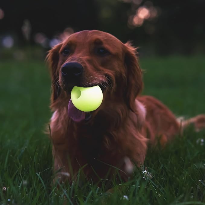 Chew King by Mammoth Bacon Flavored Dog Balls, Glow 2.5" 2-Pk