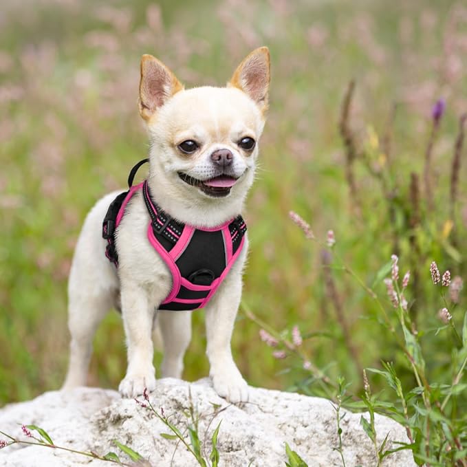 rabbitgoo Dog Harness No Pull with 2 Leash Clips, Adjustable Soft Padded, Reflective Oxford No Choke Pet Vest with Easy Control Handle for Large Dogs, Black & Hot Pink, XS
