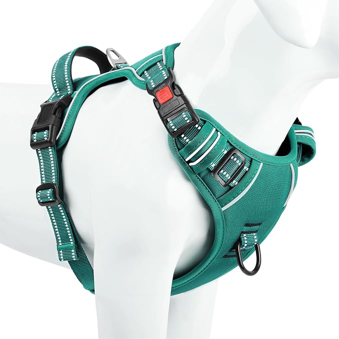 Timos Dog Harness Small Sized, No Pull Pet Harness with Neck Lockable Snap, No Choke Front Clip Reflective Vest, Adjustable Metal Rings 3 Buckles, Easy Control Handle for Small Dogs Grass Green S
