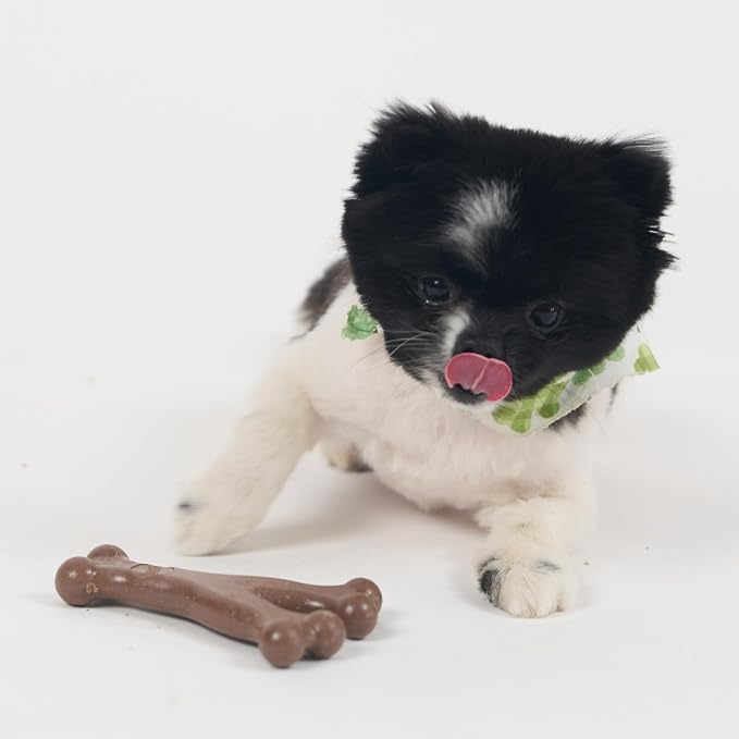 SPOT Bam-Bones Wishbone Dog Chew Toy, Bamboo Fiber Blend, Non-Splintering Durable Chew for Light to Moderate Chewers, Adult Dogs & Teething Puppies 10–30 lbs, Bacon Flavor, 5.25 in