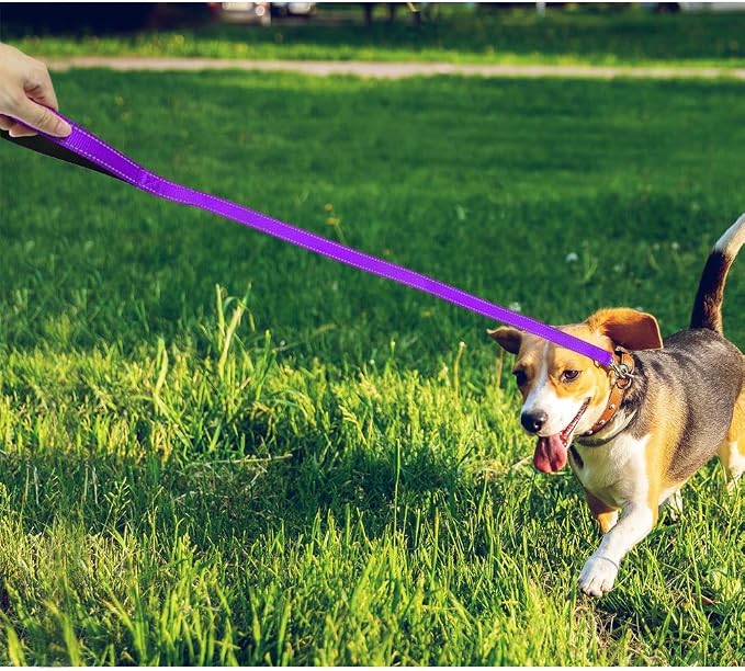 FunTags 4FT Purple Reflective Dog Leash for Medium & Small Dogs Training, Soft Padded Handle Comfortable Grip, Heavy Duty Nylon, Reflective for Night Walking, 3/4in Wide