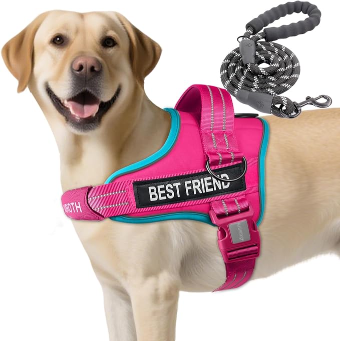 AUROTH Dog Harness and Leash Set, Soft Padded Service Dog Vest with 5.25FT Dog Leash, No Choke, Easy On Pet Vest, Adjustable Reflective No Pull Dog Harness for Large Dogs, Easy Walking and Training