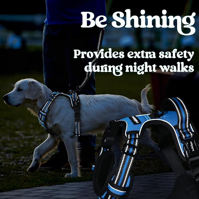 rabbitgoo Dog Harness for Large, No Pull Easy On & Off with 3 Buckles Pet Harness, Adjustable Soft Walking Vest with 2 Clips and Handle, Reflective for Large Dogs, Sky Blue, L