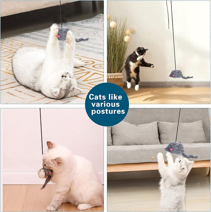 Kalimdor Interactive Cat Feather Toys,Retractable Teaser Toy ,Hanging Interactive Toys for Indoor Cats Kitten Play Chase Exercise, Kitten Mental Exercise Toys (1 Pack)
