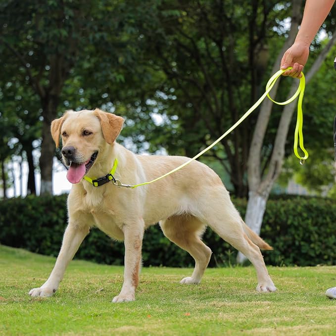 Waterproof Dog Leash, 5/6 FT Durable Odor-Proof Dog Leashes with Strong Metal Hooks Fits Small Medium or Large Dogs (Yellow, 6FT - 1 inch Width)