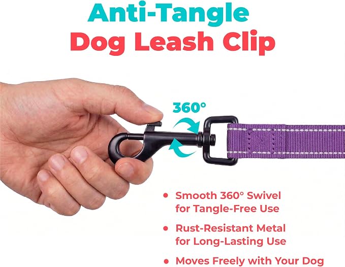 Best Pet Supplies Voyager Reflective Dog Leash or Collar with Neoprene Handle, for Small, Medium, and Large Breed Puppies, Cute and Heavy Duty for Walking, Running and Training - Purple (Leash), S