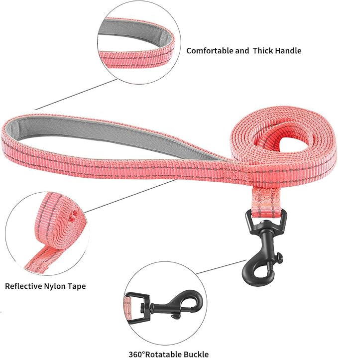 Hipubby Dog Harness and Leash Set, No Pull Soft Mesh Puppy Harness for Small Medium Dogs, Cats - Step in Reflective Breathable Lightweight Vest Harness for Walking, Training - Pink, XXS