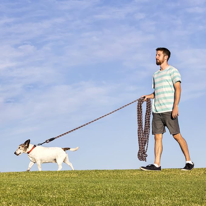 Long Dog Leash for Training 30Ft-Reflective Nylon Rope with Swivel Hook-Recall Agility Lead for Large Small Medium Dogs Outside Walking Hiking-Brown Diam 1/2"
