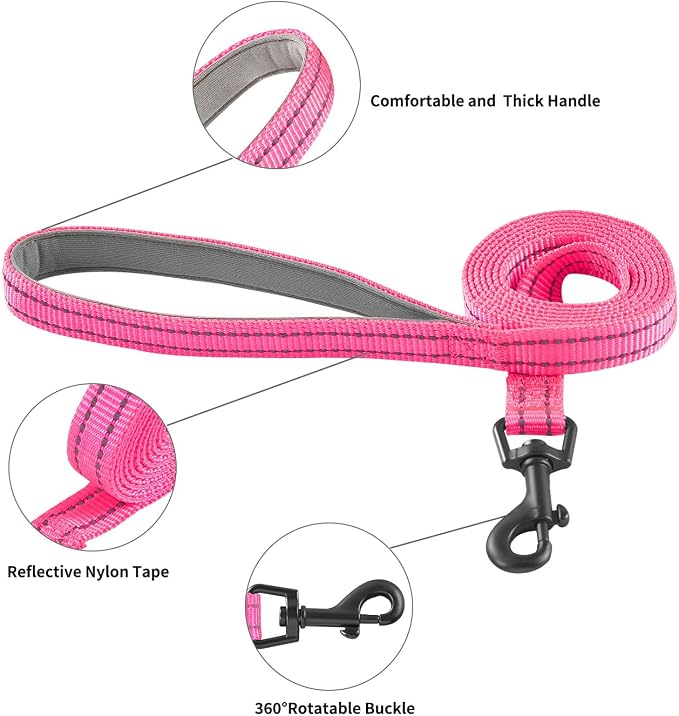 Hipubby Dog Harness and Leash Set, No Pull Soft Mesh Puppy Harness for Small Medium Dogs, Cats - Step in Reflective Breathable Lightweight Vest Harness for Walking, Training - Rose Red, L