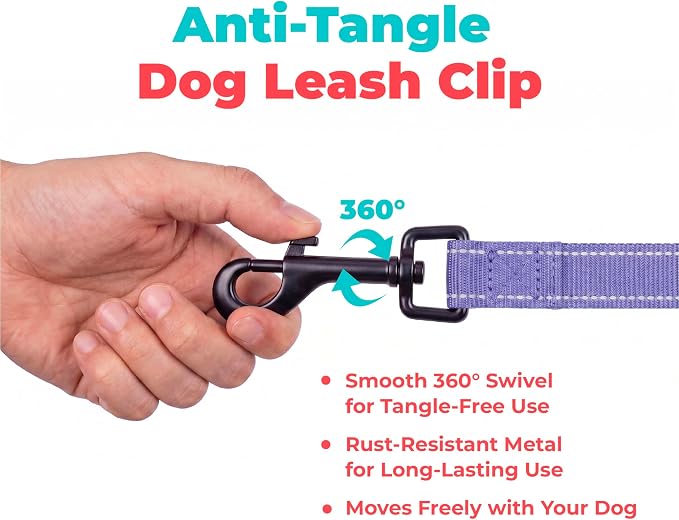 Best Pet Supplies Voyager Reflective Dog Leash or Collar with Neoprene Handle, for Small, Medium, and Large Breed Puppies, Cute and Heavy Duty for Walking, Running and Training - Lavender (Leash), S