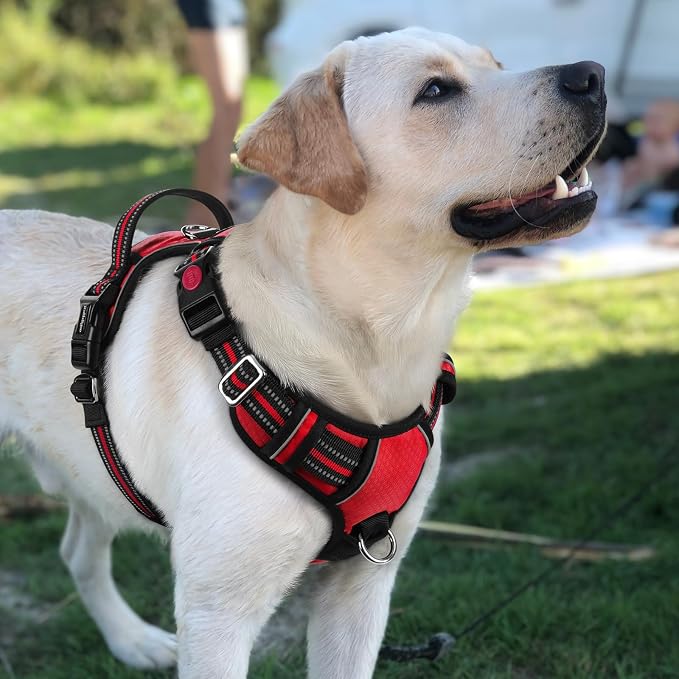 rabbitgoo Dog Harness for Large Dogs, 3 Buckles Easy On & Off No Pull Pet Vest, Soft Padded Walking Pet Harness with Control Handle, Adjustable and Reflective, Red, L