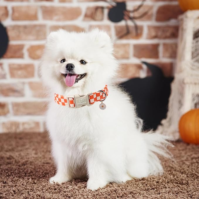 Gingham Fall Dog Collar – Adjustable Orange Picnic Checkered Dog Collar with Daisy Pendant, Classic Autumn Dogs Collars for Girl Boy Dogs