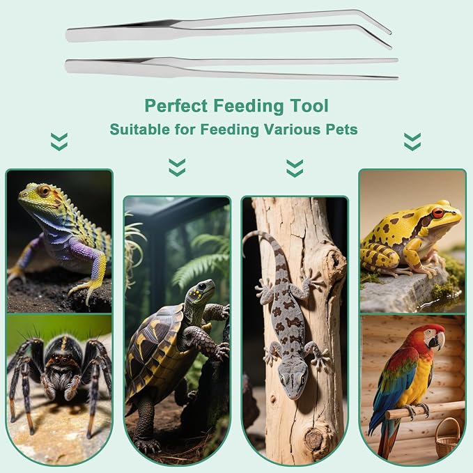 Syn-zer 2PCS Stainless Steel Reptile Feeding Tongs, 10.6 inch Straight and Curved Tweezers for Aquarium, Terrarium & Crafts Bearded Dragon Snake Tank Accessories, Planted Tank Tools Feeder for Lizards