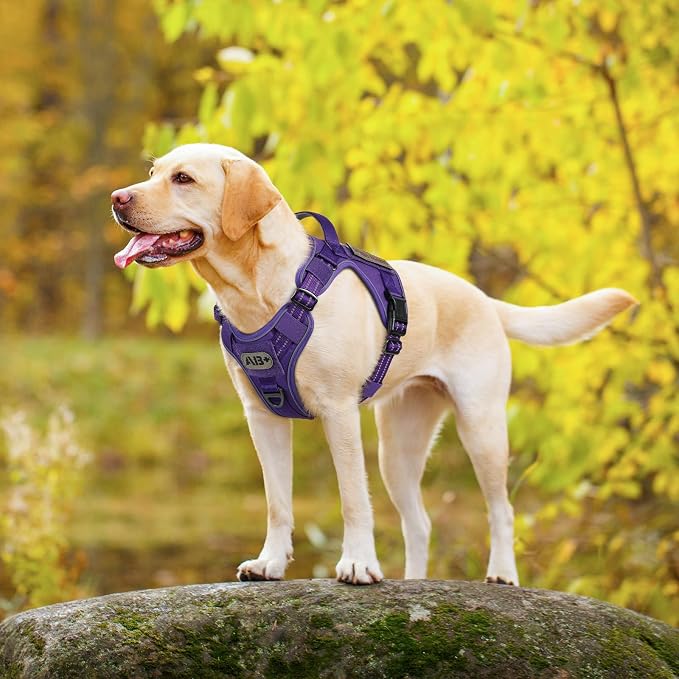 rabbitgoo Tactical Dog Harness for Large Dogs No Pull Adjustable Military Vest with Handle MOLLE Reflective Heavy Duty Dog Vest for Walking Training Hunting Outdoor Working Medium Size Dog Purple M