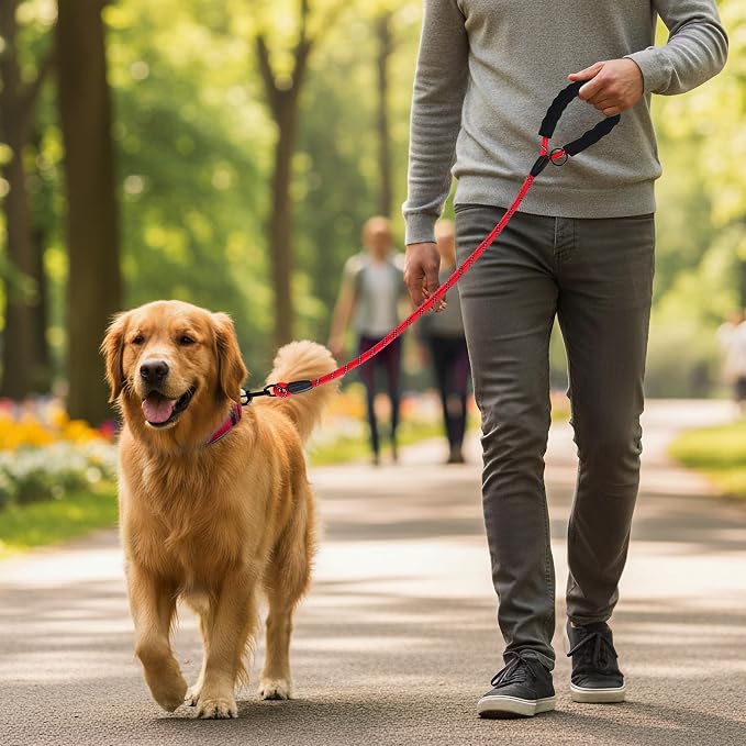 Heavy Duty Dog Leash - 4.9 FT for Large and Small Dogs - Strong Nylon, Comfortable Handle, Reflective Stitching - Ideal for Walking, Training, and Outdoor Activities, Red