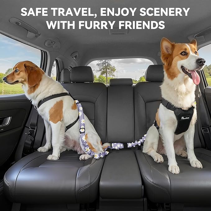 Pawaboo 2Pack Dog Seatbelt for Car, 3-in-1 Dog Car Seat Belt Bungee, Dogs Tether for Cars with Buckle & Hook Latch, Adjustable Reflective Dogs Cars Harness Leash with 360° Lockable Buckle,Light Purple