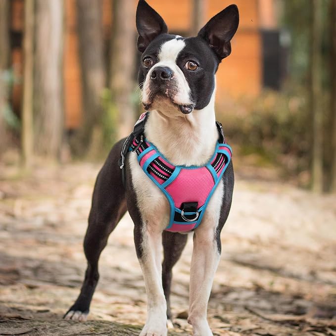 rabbitgoo Dog Harness Small Sized, 3 Buckles Easy On & Off No Pull Pet Vest, Soft Padded Walking Pet Harness with Control Handle, Adjustable and Reflective, Rose Pink & Blue, S