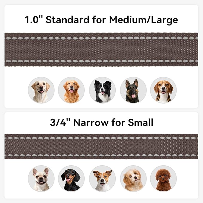 Joytale Double-Sided Reflective Dog Leash, 6 FT/5 FT/4 FT, Padded Handle Nylon Heavy Duty Leashes for Medium & Large Dogs Walking, Brown, 6FT
