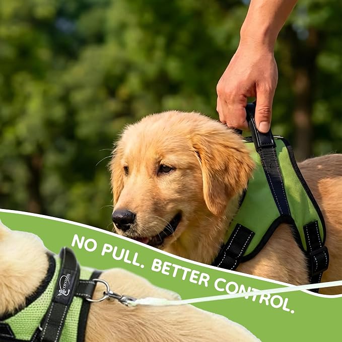 No Pull Reflective Adjustable Dog Harness With Handle- Comfortable Soft All Weather Mesh, Easy On Puppy Harness For Small Medium and Large Dogs (Green) Medium
