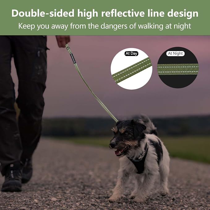 Reflective 6 FT Dog Leash, Premium Traditional Style Puppy Leash with Easy to Use Collar Hook for Small, Medium, and Large Breed Puppies (Green, 3/4 in x 6 ft)
