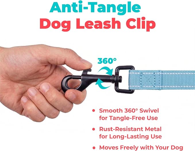Best Pet Supplies Voyager Reflective Dog Leash or Collar with Neoprene Handle, for Small, Medium, and Large Breed Puppies, Cute and Heavy Duty for Walking, Running and Training - Baby Blue (Leash), S