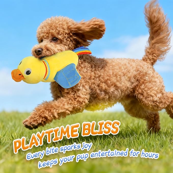 lilfrd Duck Dog Toy, Crinkle Squeaky Plush Interactive Chew Toy for Dogs | Lets pups fill quiet days with fun sound play. Ideal daily toy for small, medium and large dogs.