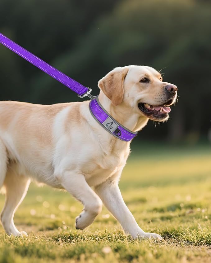 Joytale Dog Collar for Large Dogs, Neoprene Padded and Adjustable, Reflective Wide Heavy Duty Pet Collars with Durable Metal Belt Buckle for Walking, Purple, L