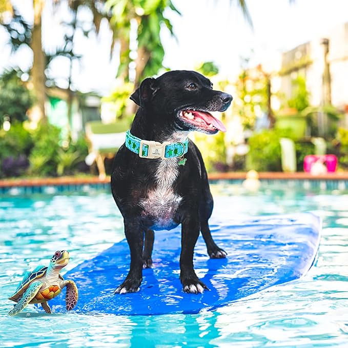 Lionheart Glory Cute Blue Sea Turtle Dog Collar - Soft, Durable, Adjustable for Medium Dogs - Spring/Summer Pet Gift