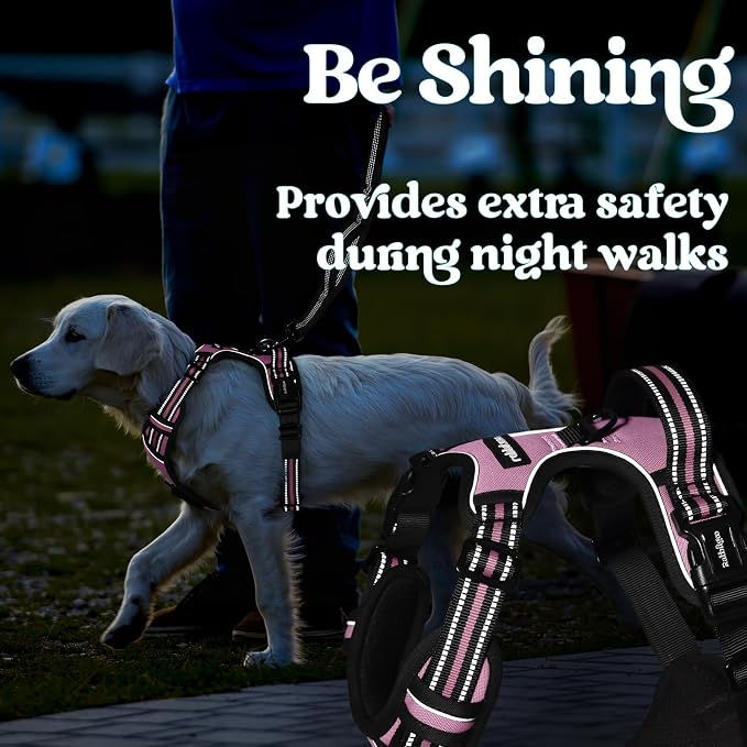 rabbitgoo Dog Harness Medium Sized, No Pull Easy On & Off with 3 Buckles Pet Harness, Adjustable Soft Walking Vest with 2 Clips and Handle, Reflective for Medium Dogs, Pink, M