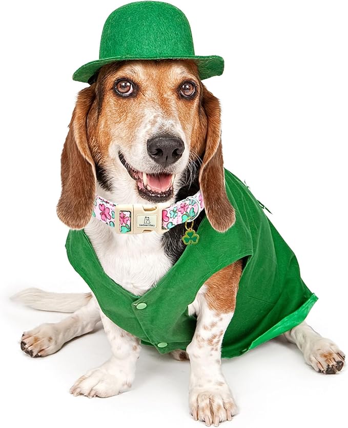 Lionheart glory St. Patrick's Day Dog Collar, Clover Collars Pink Dog Collar for Large Dogs Spring Female Dog Collar Adjustable Heavy-Duty Dog Collar Pet Gift Plastic Buckle