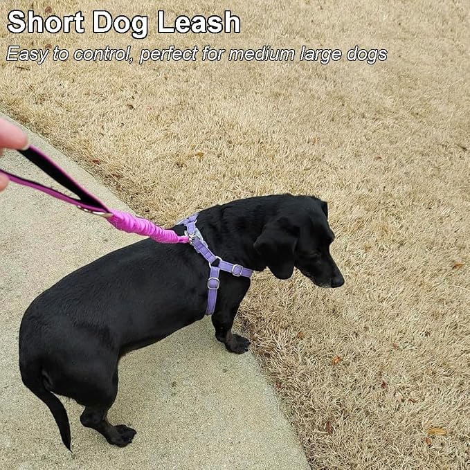 2ft Bungee Dog Leash, Reflective Strong Nylon Short Traffic Leash, Shock Absorbing for Large Medium Dogs Controlling, Walking (Rose Red, 1" Width)