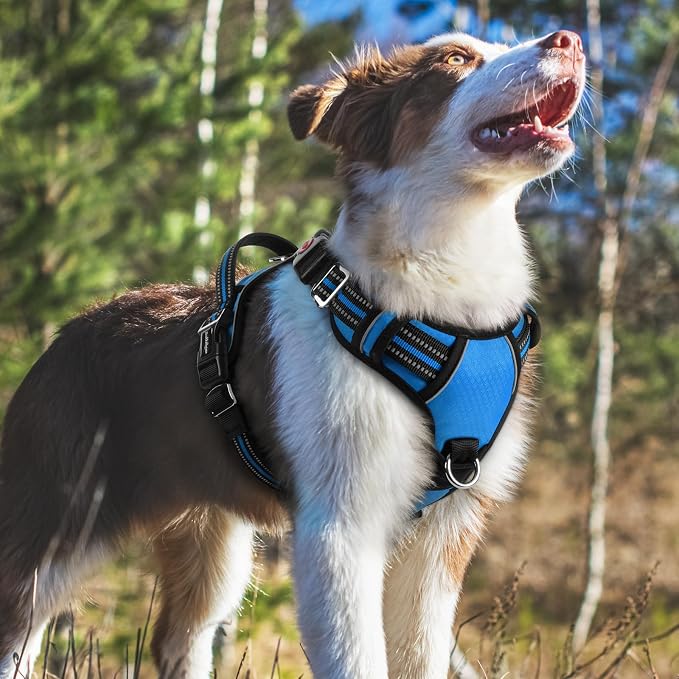 rabbitgoo Dog Harness Medium Sized, 3 Buckles Easy On & Off No Pull Pet Vest, Soft Padded Walking Pet Harness with Control Handle, Adjustable and Reflective, Blue, M