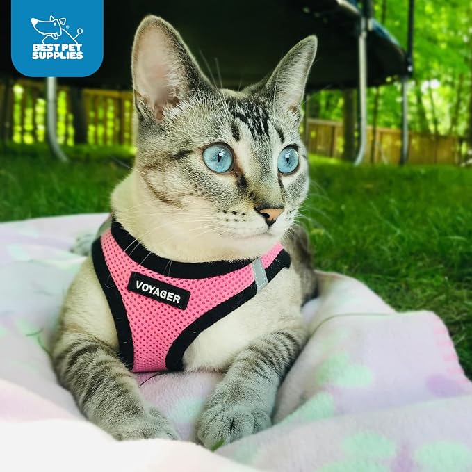 Best Pet Supplies - All Weather Mesh / Plush, Reflective, No Pull Harness for Small, Medium Dogs, Cats - Secure with Hook & Loop Fastener, Buckle, Double D-Rings - Pink/Black Trim, S