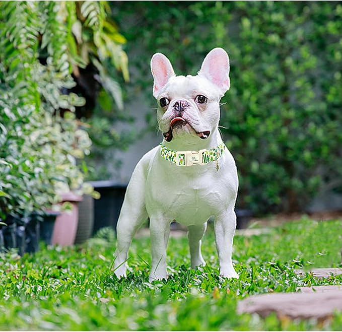 Lionheart glory Dog Collar Green Cactus Print Collar for Medium Dogs Spring Summer Female or Male Collars Pets Gift Adjustable Heavy-Duty Cute Pet Collars