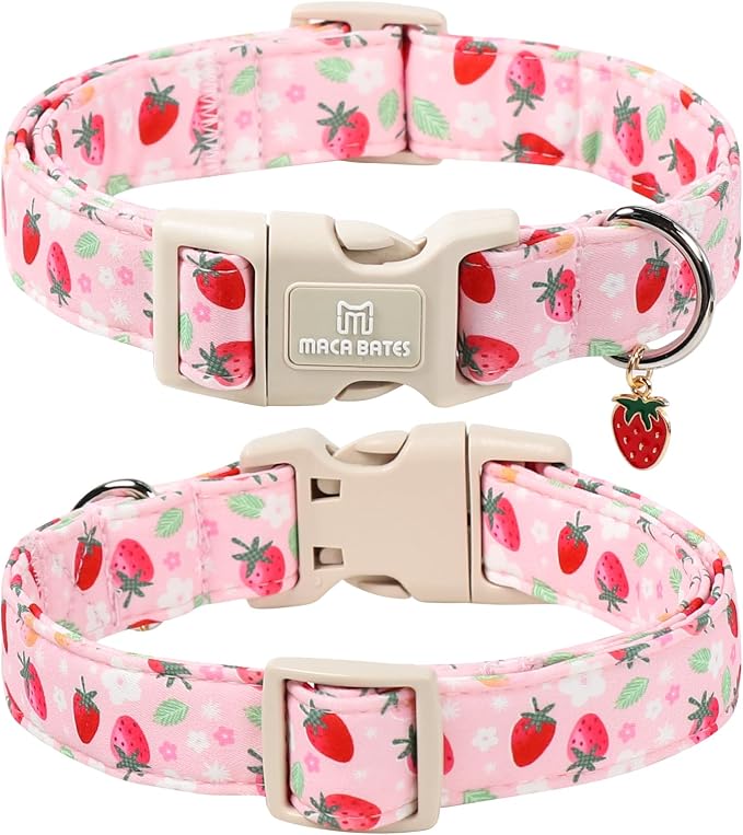 Maca Bates Spring Pink Basic Dog Collar with Cute Strawberry Charm for Medium Girl Boy Dogs, Strawberries Pattern,Pretty Gift Adjustable Durable Soft Collars for Male Female Puppy