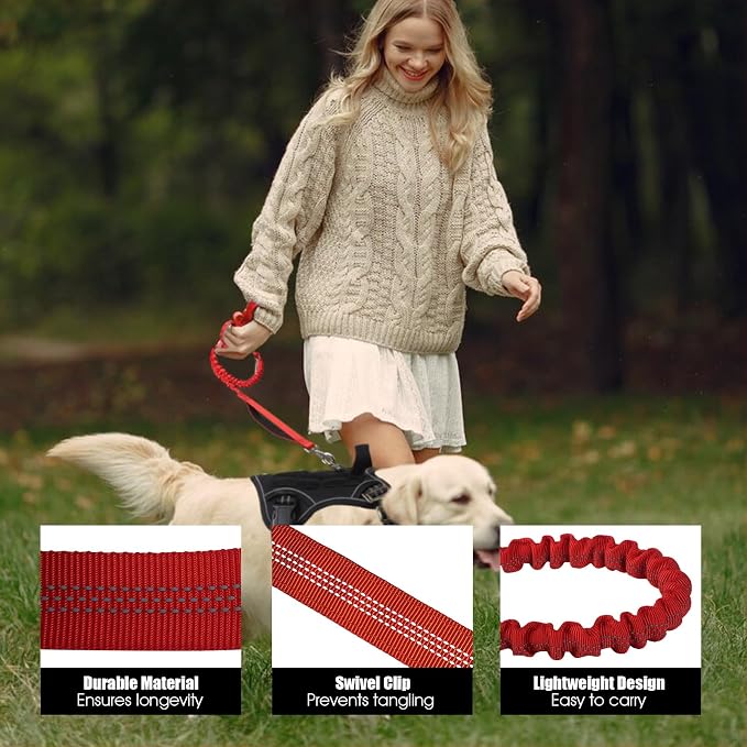 BUMBIN 6Ft Dog Leash Large Dogs, Bungee Dog Leash with 2 Handles, Heavy Duty Dog Leashes for Medium Small Dogs, No Pull Shock Absorbing Dog Leash with Car Seat Belt for Training, Red