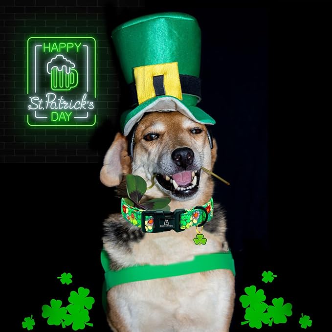 Lionheart glory St. Patrick's Dog Collar-Lucky Clover Shamrock Green Spring Trefoil Dog Collar for Small Dogs Adjustable Heavy-Duty Dogs Collars Pet Gift Female