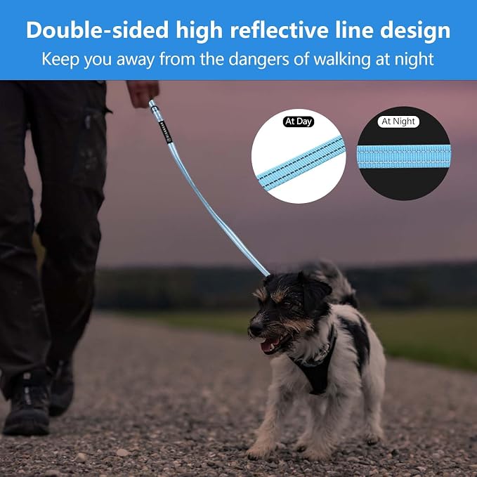 Reflective 6 FT Dog Leash, Premium Traditional Style Puppy Leash with Easy to Use Collar Hook for Small, Medium, and Large Breed Puppies (Blue, 3/4 in x 6 ft)
