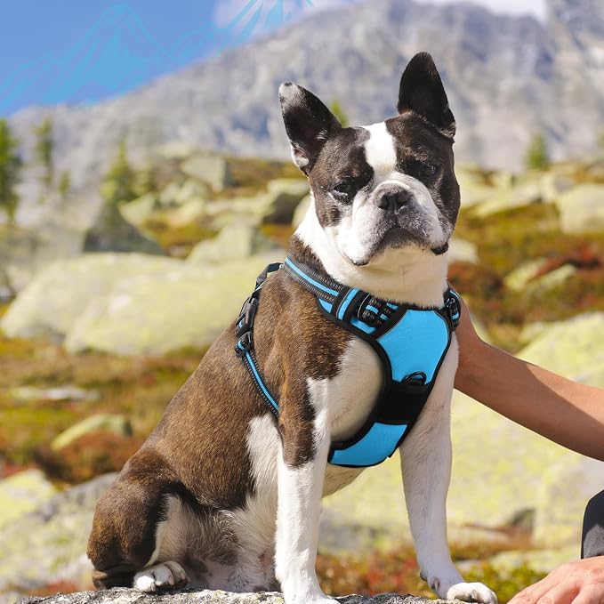 Eagloo Dog Harness Medium Sized Dog, No Pull Service Vest with Reflective Strips and Control Handle, Adjustable and Comfortable for Easy Walking, No Choke Pet Harness with 2 Metal Rings, Sky Blue, M